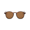 Leopard with Brown Lenses
