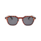 Leopard with Black Lenses
