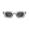 Transparent with Dark Lenses