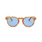Turtle with Blue Lenses