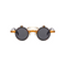 Turtle with Dark Lenses