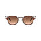 Brown with Gradient Lenses
