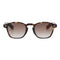 Brown Marble with Gradient Lenses