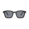 Black with Dark Lenses