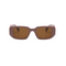 Brown with Brown Lenses