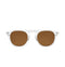 Transparent with Brown Lenses